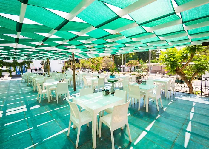 Bleu Nuit + מלון