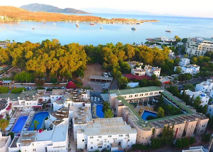 Bleu Nuit + מלון *